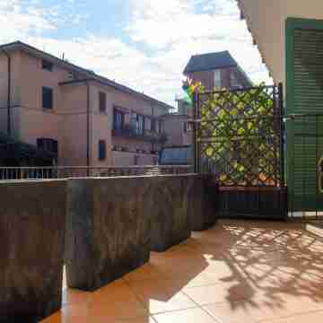 Minerva - by Myhomeincomo Others