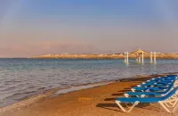 Brown Dead Sea - Beach