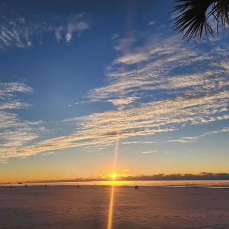 Beachview #312