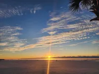 Beachview #312