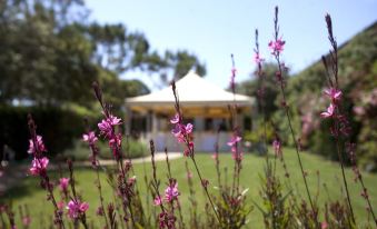 Agriturismo le Spighe