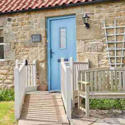 Host Stay Blue Barn Others