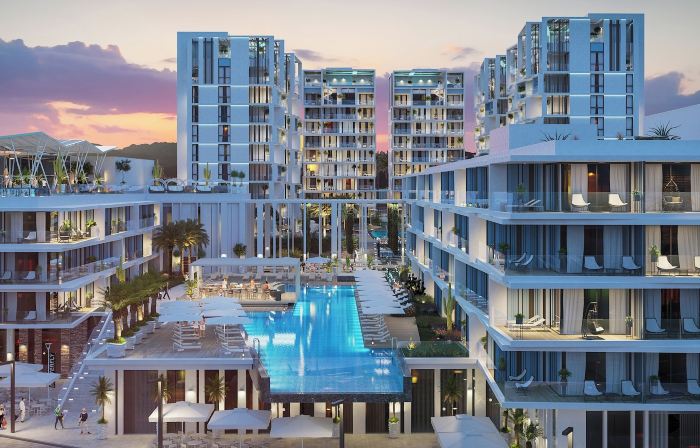 Isla Brown Eilat 42