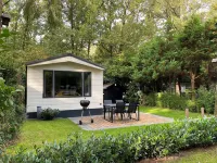 Chalet in the Woods with Pool Hotels in 