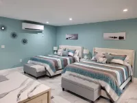 Cozy, pet friendly, centrally-located studio in Tampa