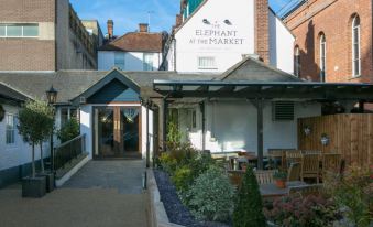 The Elephant at the Market