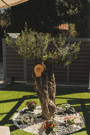 Lumior Villas Lux essence by 'elite' Отели рядом с Аэропорт Закинтос