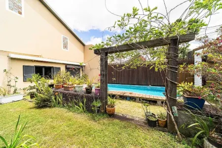 Jade vine location 2