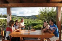 House in the vineyard with sea view (2)
