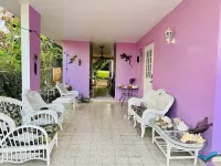 Purple Sunset - Walk to Malecon & Beaches