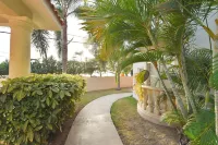Pelicano Condo #7 Sleeps up 6, beach front, pool, gazebo, beach rentals