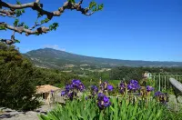 Charming 3 CH house in the countryside. Panoramic view of the Ventoux Hotels in Bedoin