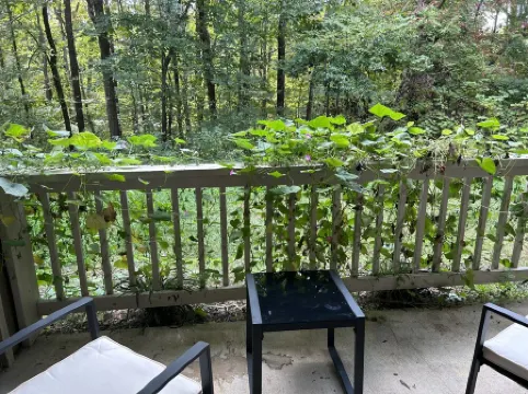 A cozy well furnished centrally located condo