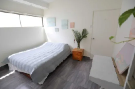 Special Discount!! The Artist Condo in Barrio Dent 聖佩德羅德蒙特斯德奧卡區酒店