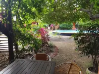 House located 200 m from the beach, leisure area, restaurants, bars and shops Hotels in Praia Do Forte