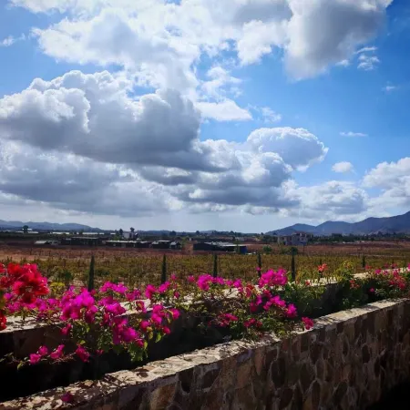 Hotel Flores de SAL