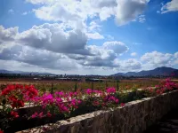 Hotel Flores de SAL - Mountain view