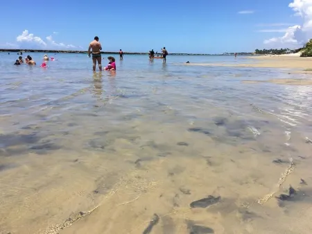 La Fleur Polynesia Residence & Resort - 2 spacious rooms- 8 people 12X semjuros Отели рядом с достопримечательностью «Port of Suape»