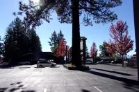 Pepper Tree Inn Tahoe City - parking