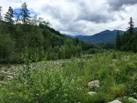 21gs - Log  - Pets Ok - Sleeps 6 3 Bedroom Home by RedAwning Hotels in Deming