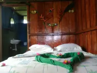 Amazon King - parkir