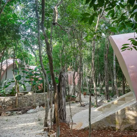 Room in Lodge - Unique Jungle Dome 2 Queen Beds