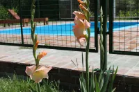 Cabañas El Algodonal - Pet friendly