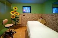 Hotel Ferrari