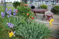 Mariner's Motel Hotels near Create