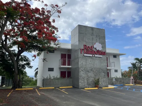 Red Flamboyan Guesthouse and Restaurant Hotels in Rincon
