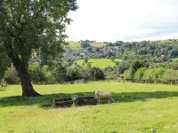 Rowtor Hotels in Winster