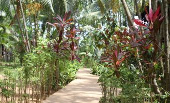Mame Trees
