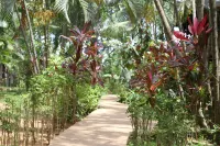 Mame Trees Hotels in 