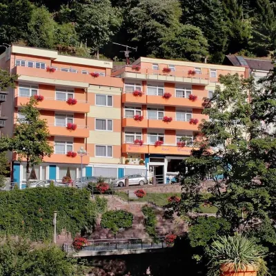 Hotel Weingärtner - Wifi