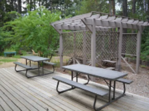 Chalet Continental Motel Hotels in Valemount