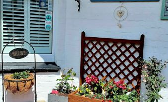 Belle Dene Guest House