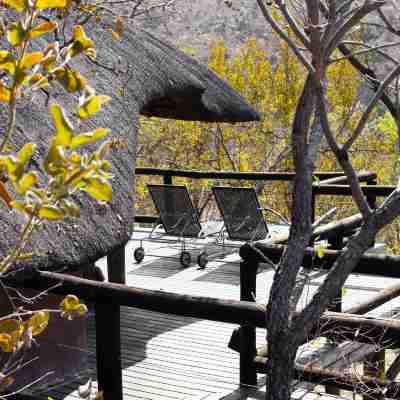 Tshwene Lodge Hotel Exterior