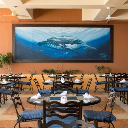 Club Regina Los Cabos