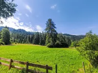 Altavista