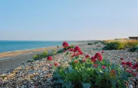 Contemporary & sleek self-catering space, with secure off-street parking.