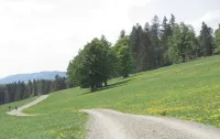HOLIDAY APARTMENT ON THE FOREST 3