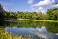 Catskills Retreat w/ pond and kayaks