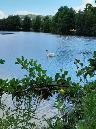 Refurbished T2 apartment with balcony