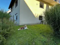 Vacation apartment Am Romberg Mariabuchen 주변 호텔