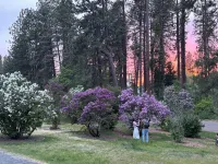 Parkside Nest Apartment Near Manito Park