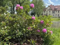 Cozy 3-storey apartment in a rural idyll Hotels in Leps