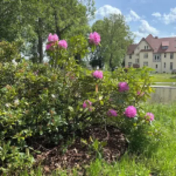 Cozy 3-storey apartment in a rural idyll