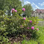 Cozy 3-storey apartment in a rural idyll