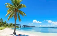 New Beach House-Boat & Dog Friendly 30 mins Key West