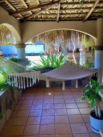 Brand new Loft in Loreto! Short walk to the beach, marina, and downtown!